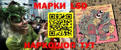 стафф Дубна