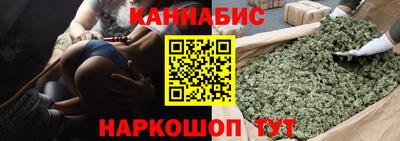 крисы Донской
