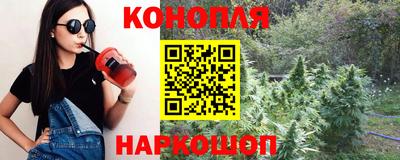 стафф Дубна
