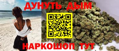 стафф Дубна