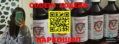 стафф Дубна