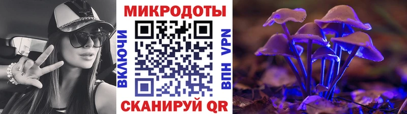 площадка состав  Коломна  Псилоцибиновые грибы GOLDEN TEACHER 