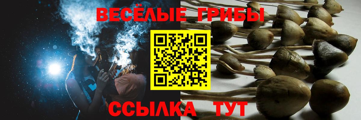 Галлюциногенные грибы MAGIC MUSHROOMS Коломна