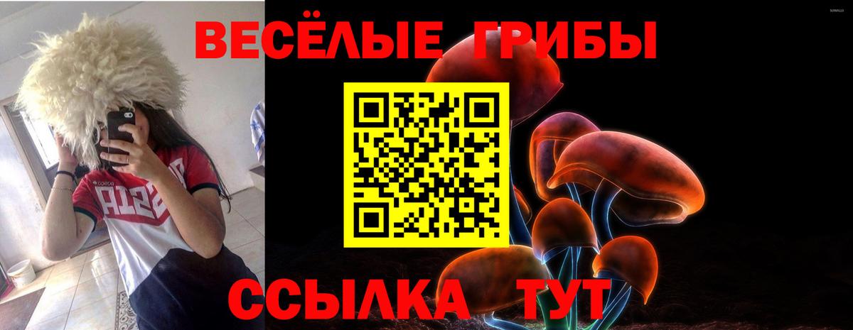 Коломна  даркнет сайт  Вход с VPN  Псилоцибиновые грибы мухоморы  Псилоцибиновые грибы Cubensis 